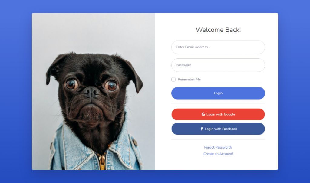 Full screenshot login form